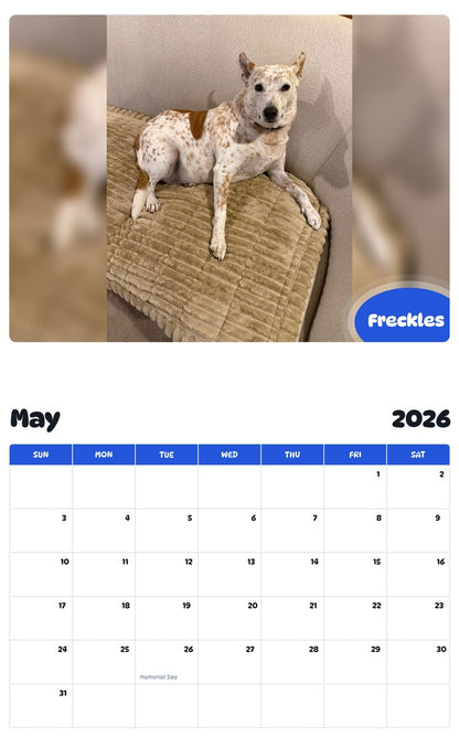 2026 - 2027 Freckles - Pawidols Pet Calendar