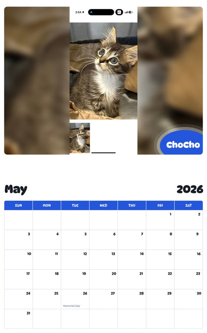 2026 - 2027 ChoCho - Pawidols Pet Calendar