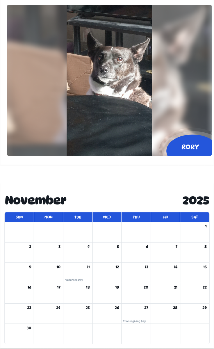 July 2025 - June 2026 Rory - Pawidols Pet Calendar