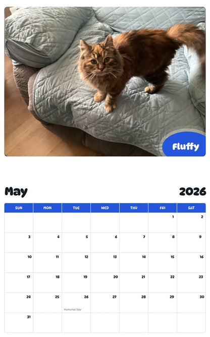 2026 - 2027 Fluffy - Pawidols Pet Calendar