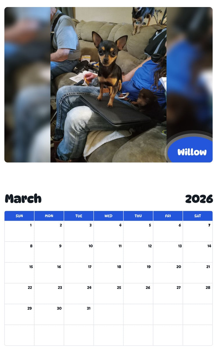 November 2025 - October 2026 Willow - Pawidols Pet Calendar