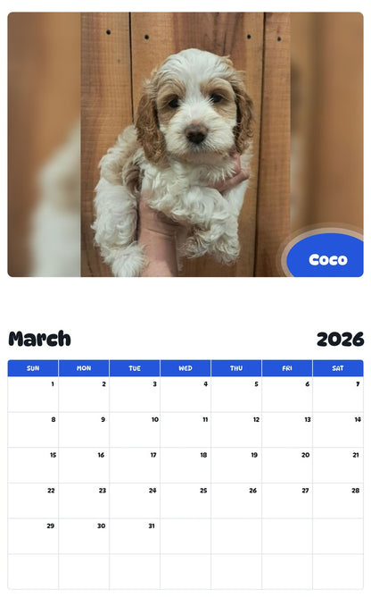 November 2025 - October 2026 Coco - Pawidols Pet Calendar