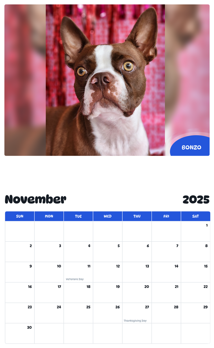 July 2025 - June 2026 Bonzo - Pawidols Pet Calendar