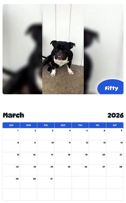 November 2025 - October 2026 Fifty - Pawidols Pet Calendar