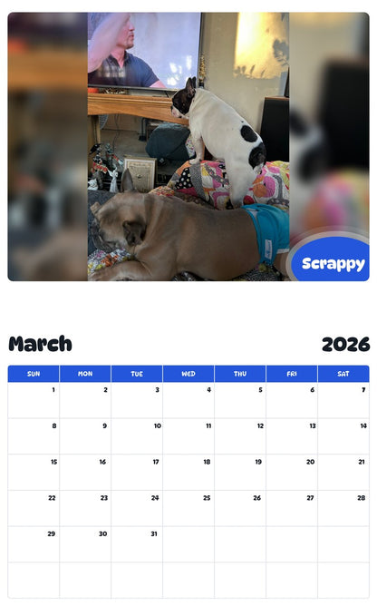 November 2025 - October 2026 Scrappy - Pawidols Pet Calendar