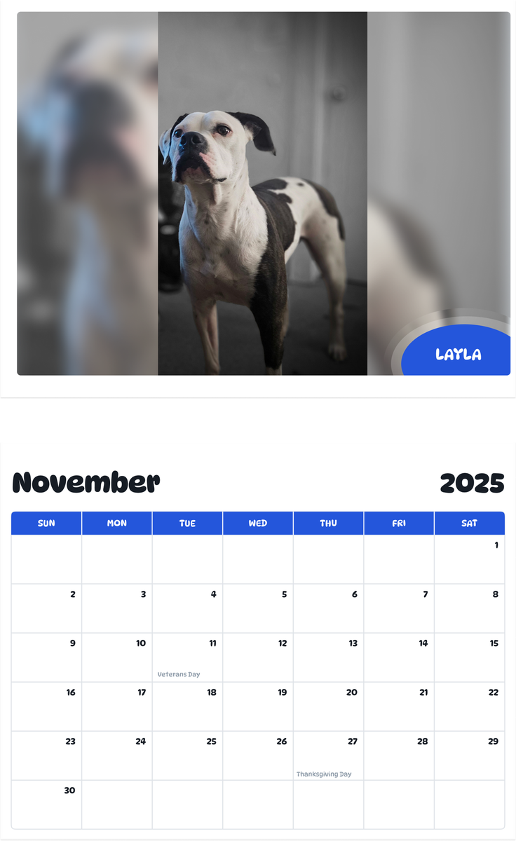 July 2025 - June 2026 Layla - Pawidols Pet Calendar