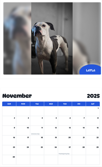 July 2025 - June 2026 Layla - Pawidols Pet Calendar
