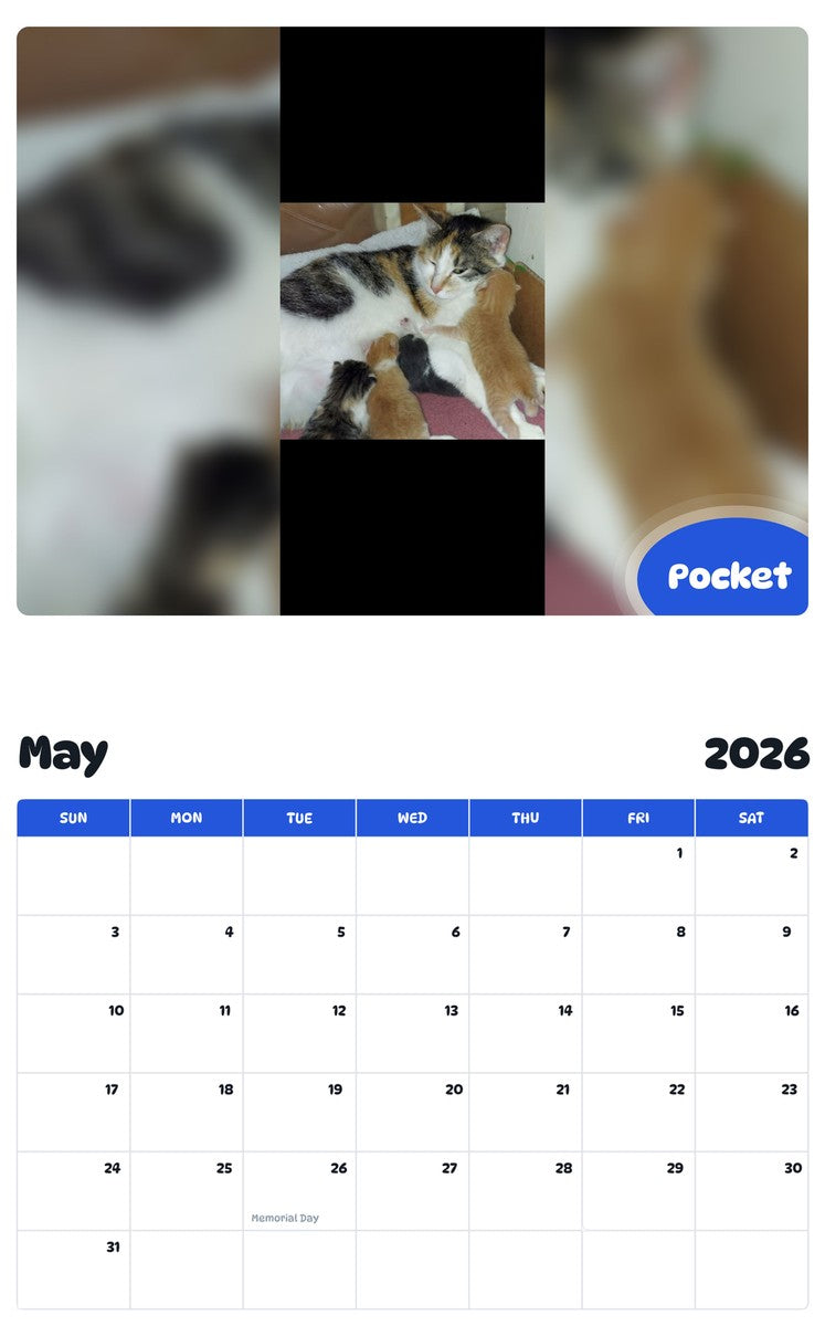 2026 - 2027 Pocket - Pawidols Pet Calendar