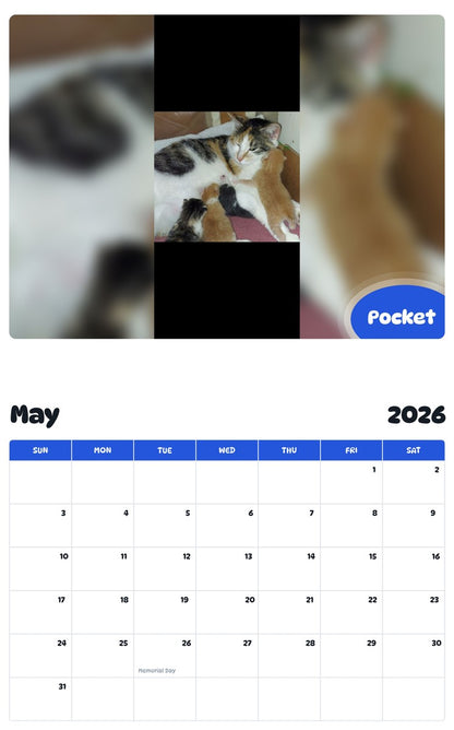 2026 - 2027 Pocket - Pawidols Pet Calendar