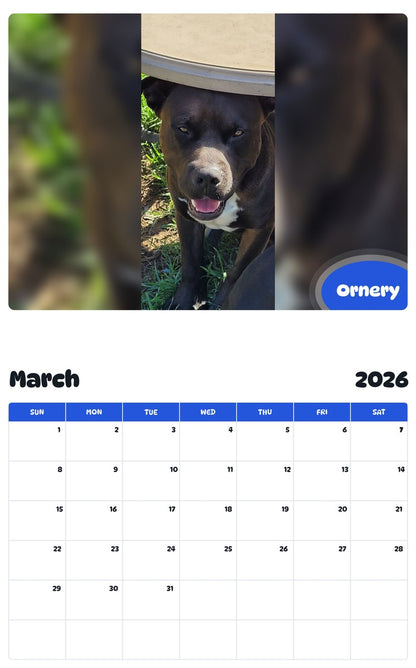 November 2025 - October 2026 Ornery - Pawidols Pet Calendar