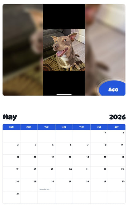 2026 - 2027 Ace - Pawidols Pet Calendar