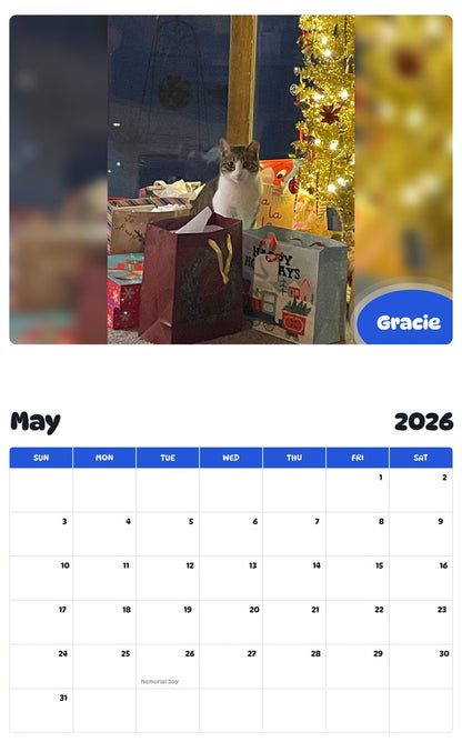 2026 - 2027 Gracie - Pawidols Pet Calendar