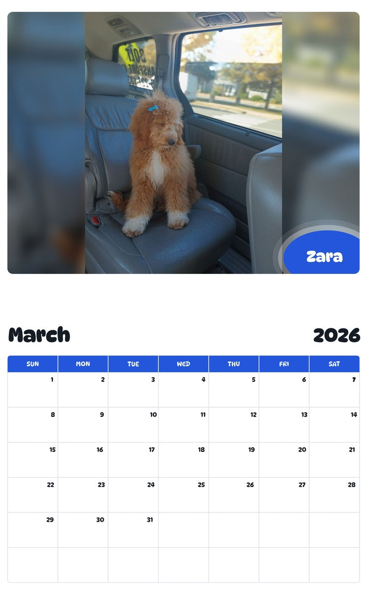 November 2025 - October 2026 Zara - Pawidols Pet Calendar