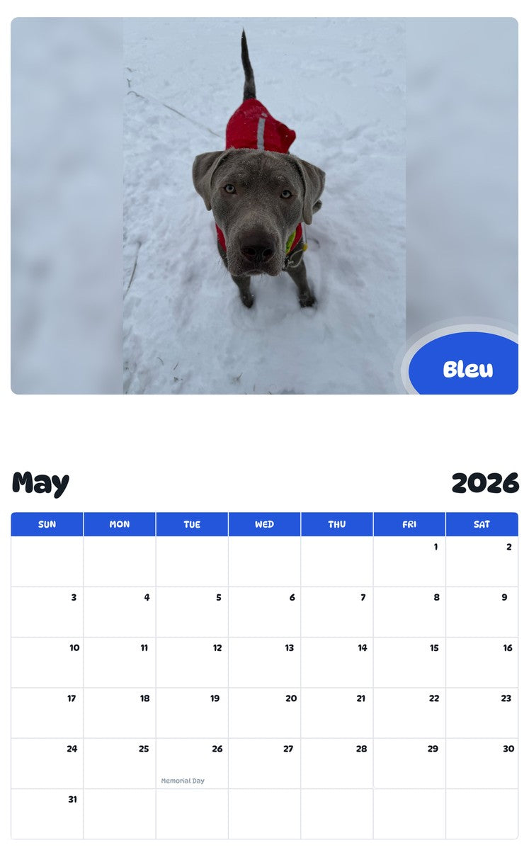 2026 - 2027 Bleu - Pawidols Pet Calendar