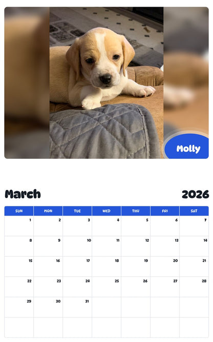 November 2025 - October 2026 Molly - Pawidols Pet Calendar