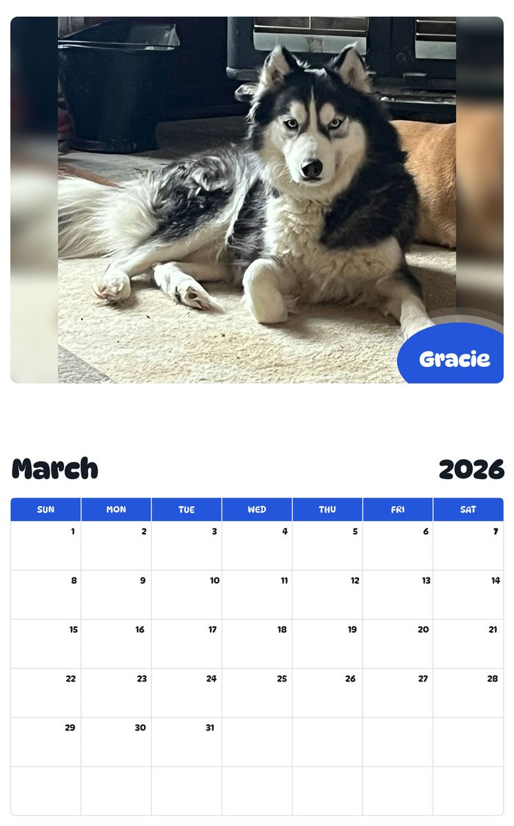 November 2025 - October 2026 Gracie - Pawidols Pet Calendar