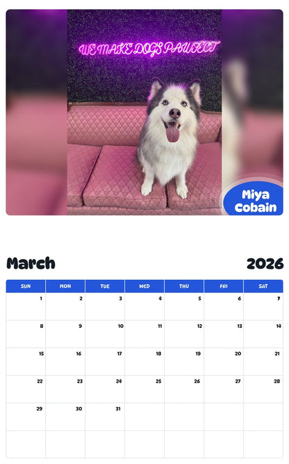 November 2025 - October 2026 Miya Cobain - Pawidols Pet Calendar