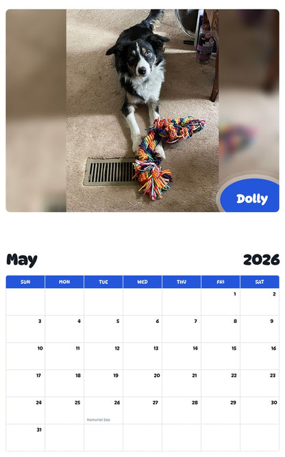 2026 - 2027 Dolly - Pawidols Pet Calendar