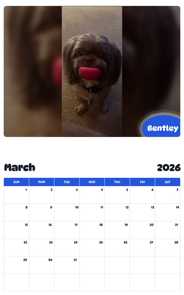 November 2025 - October 2026 Bentley - Pawidols Pet Calendar