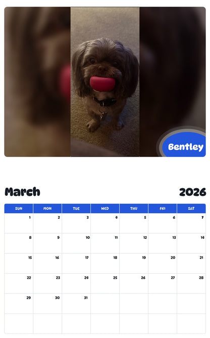 November 2025 - October 2026 Bentley - Pawidols Pet Calendar