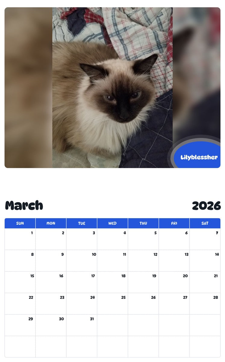 November 2025 - October 2026 Lilyblessher - Pawidols Pet Calendar