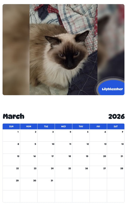 November 2025 - October 2026 Lilyblessher - Pawidols Pet Calendar