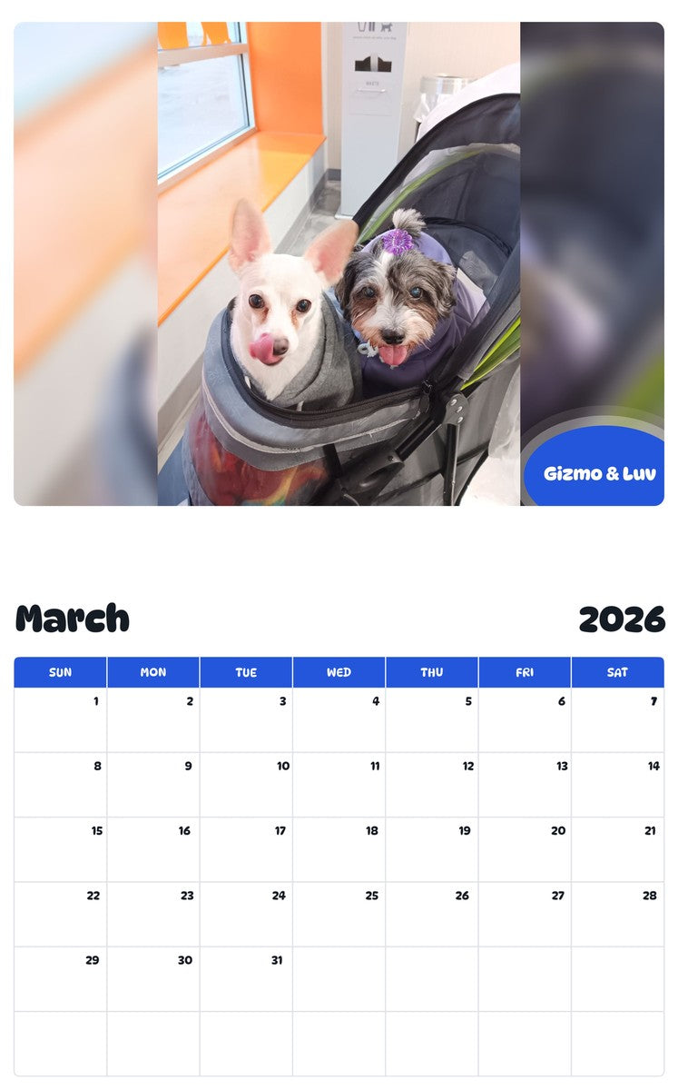 November 2025 - October 2026 Gizmo & Luv - Pawidols Pet Calendar