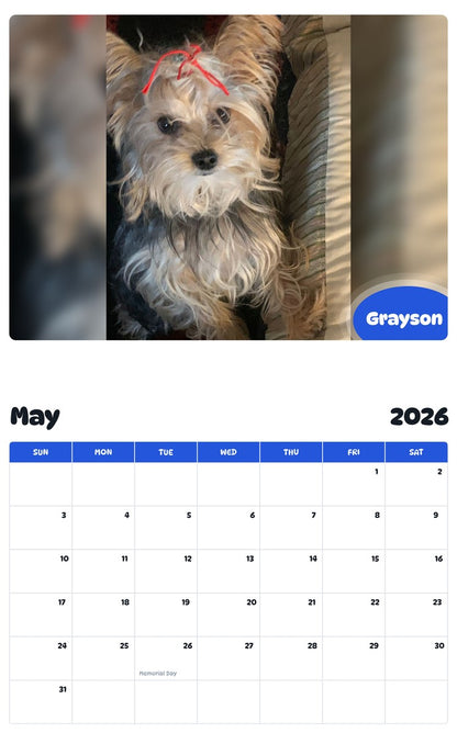 2026 - 2027 Grayson - Pawidols Pet Calendar