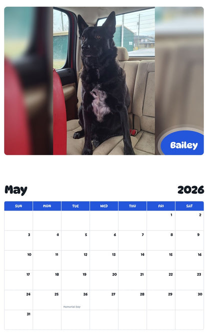 2026 - 2027 Bailey - Pawidols Pet Calendar
