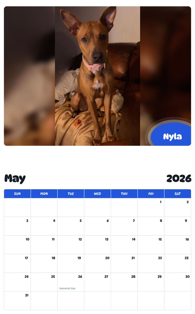2026 - 2027 Nyla - Pawidols Pet Calendar