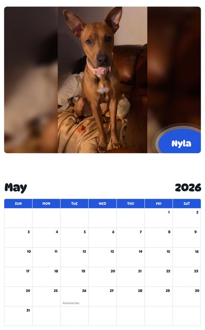 2026 - 2027 Nyla - Pawidols Pet Calendar