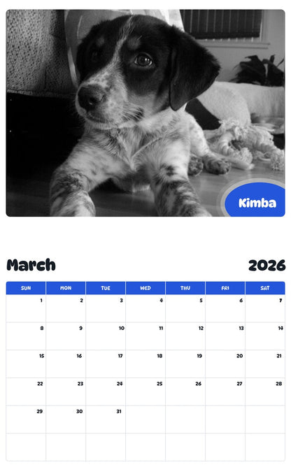 November 2025 - October 2026 Kimba - Pawidols Pet Calendar
