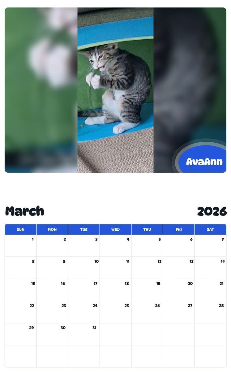 November 2025 - October 2026 AvaAnn - Pawidols Pet Calendar