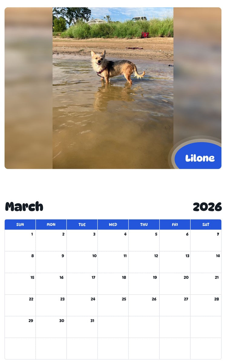 November 2025 - October 2026 Lilone - Pawidols Pet Calendar