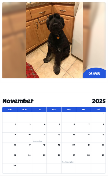 July 2025 - June 2026 Oliver - Pawidols Pet Calendar