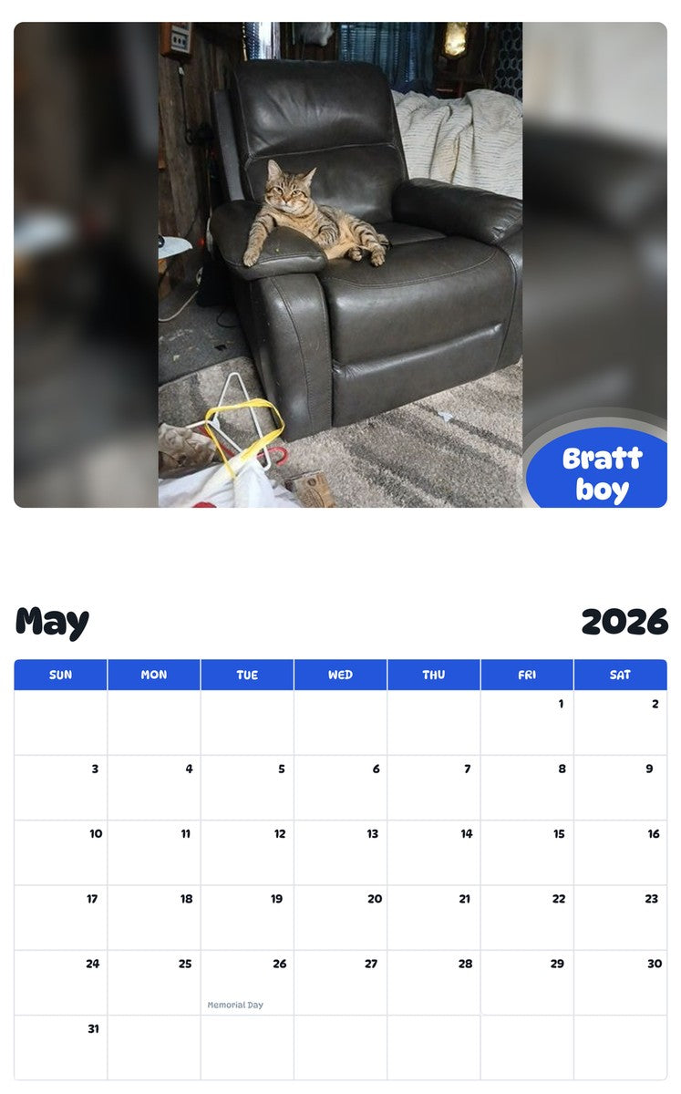 2026 - 2027 Bratt boy - Pawidols Pet Calendar