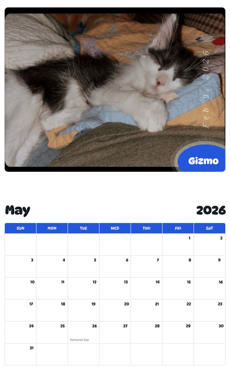2026 - 2027 Gizmo - Pawidols Pet Calendar