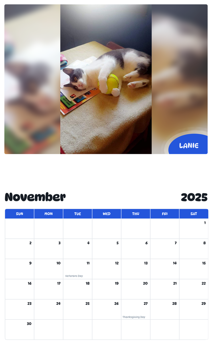 July 2025 - June 2026 Lanie - Pawidols Pet Calendar