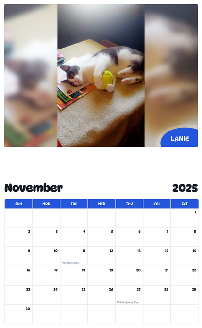 July 2025 - June 2026 Lanie - Pawidols Pet Calendar