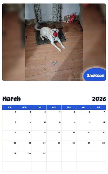 November 2025 - October 2026 Jackson - Pawidols Pet Calendar