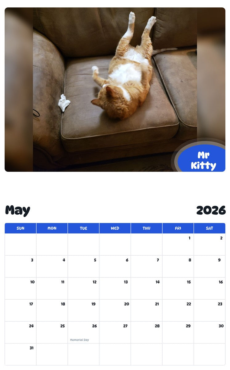2026 - 2027 Mr Kitty - Pawidols Pet Calendar