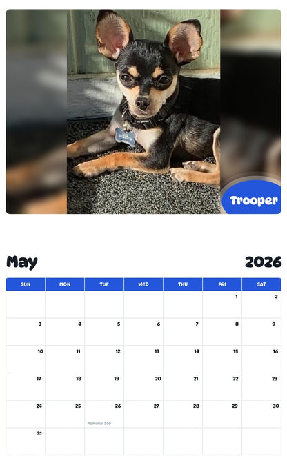 2026 - 2027 Trooper - Pawidols Pet Calendar