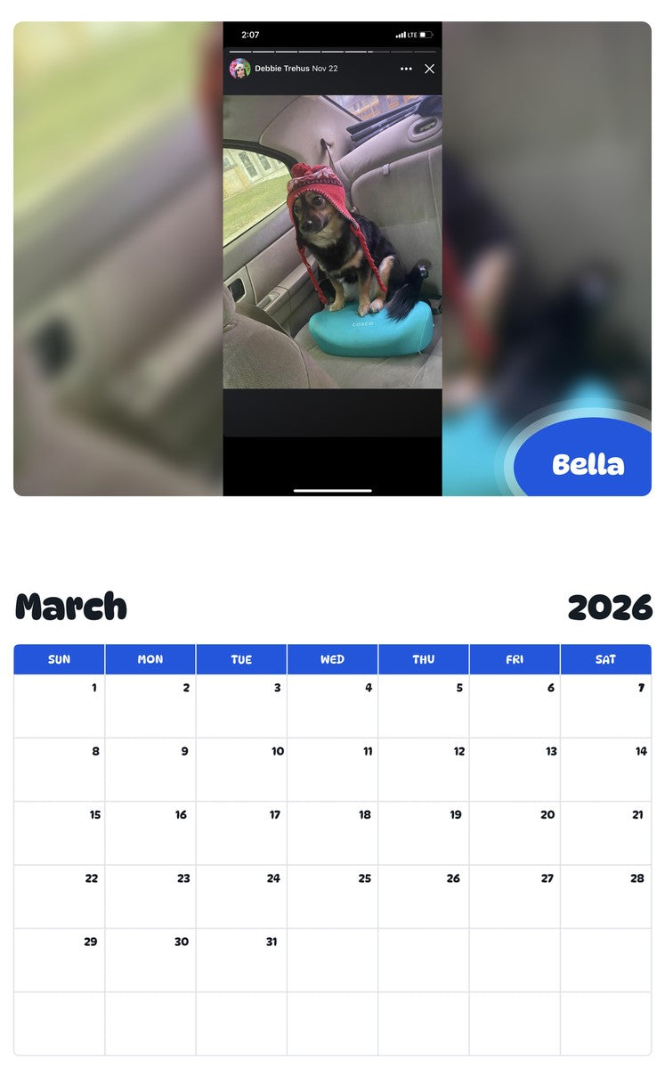 November 2025 - October 2026 Bella - Pawidols Pet Calendar