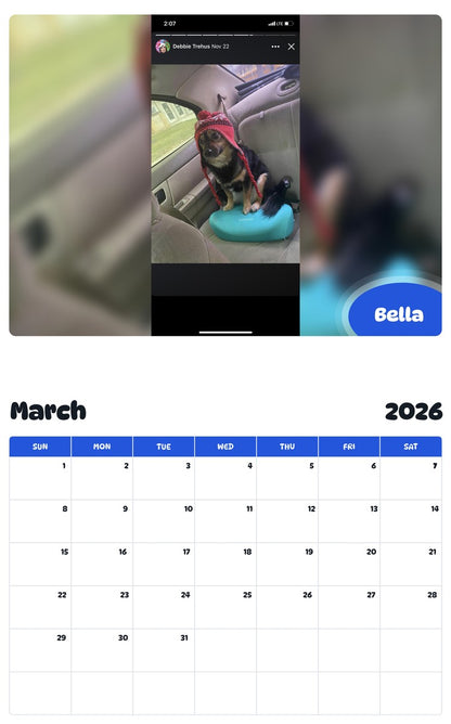 November 2025 - October 2026 Bella - Pawidols Pet Calendar