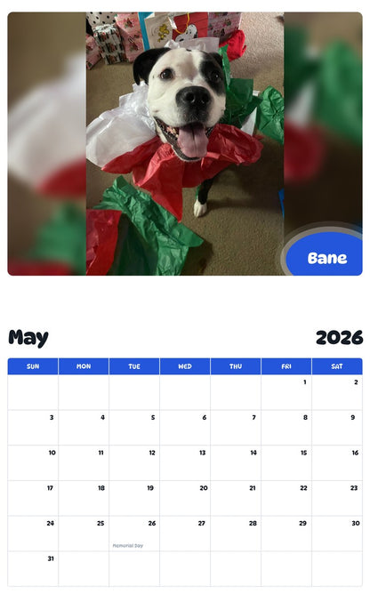 2026 - 2027 Bane - Pawidols Pet Calendar