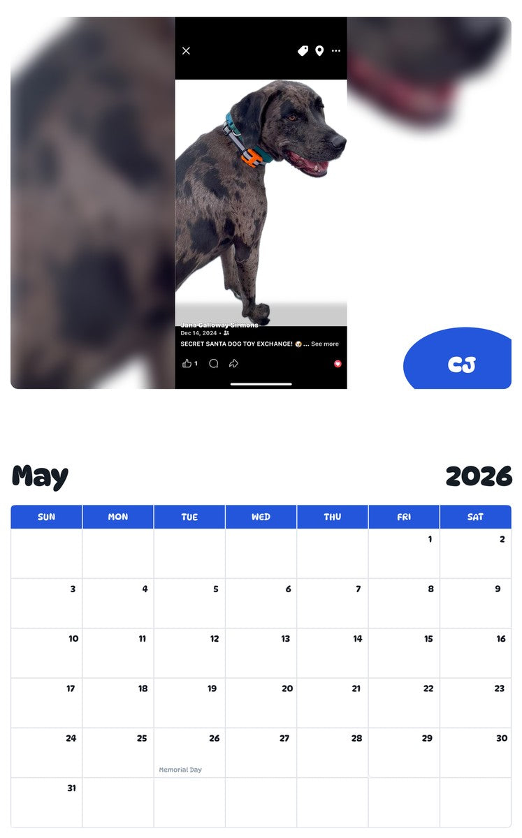 2026 - 2027 CJ - Pawidols Pet Calendar