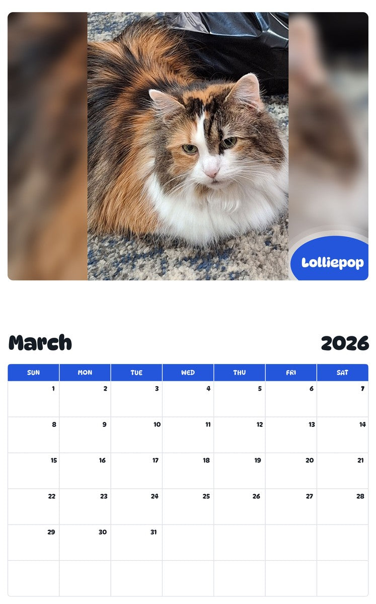November 2025 - October 2026 Lolliepop - Pawidols Pet Calendar