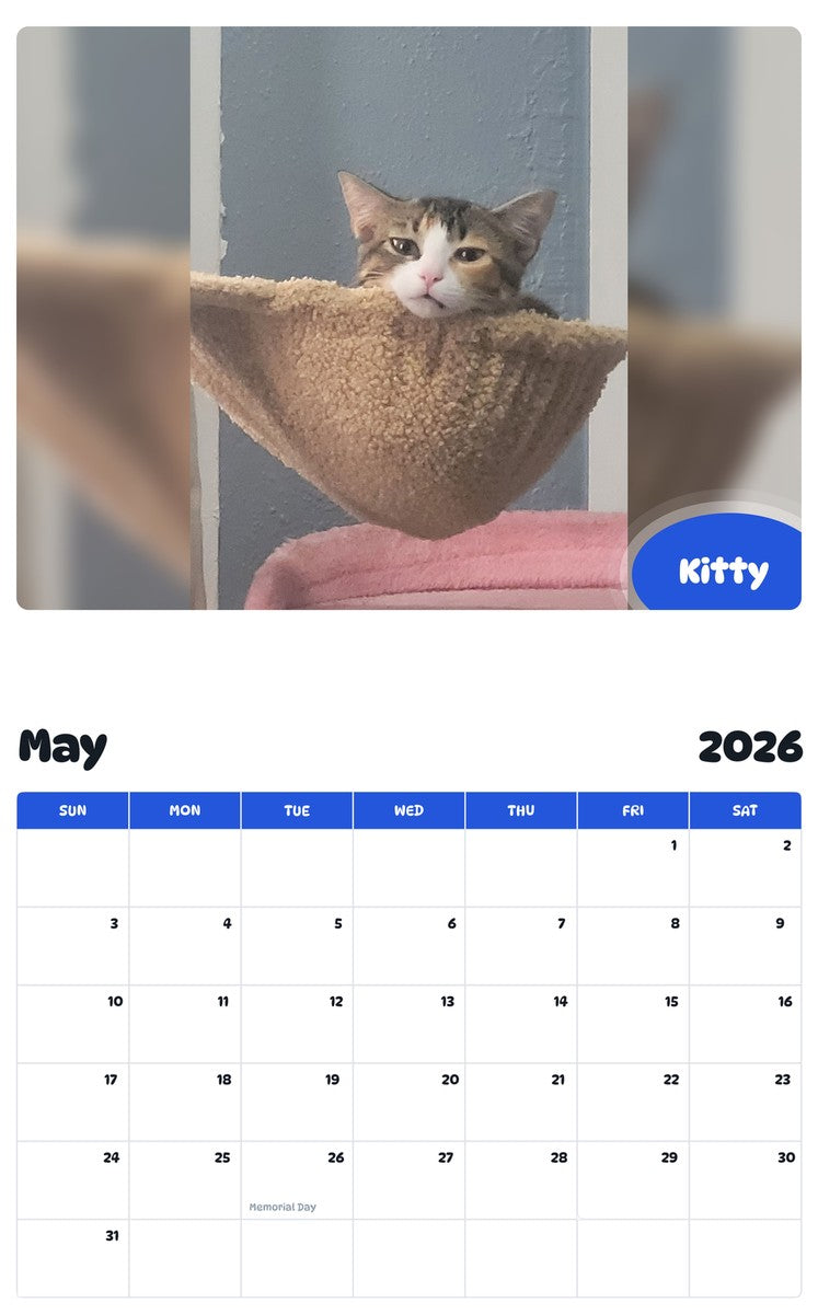 2026 - 2027 Kitty - Pawidols Pet Calendar