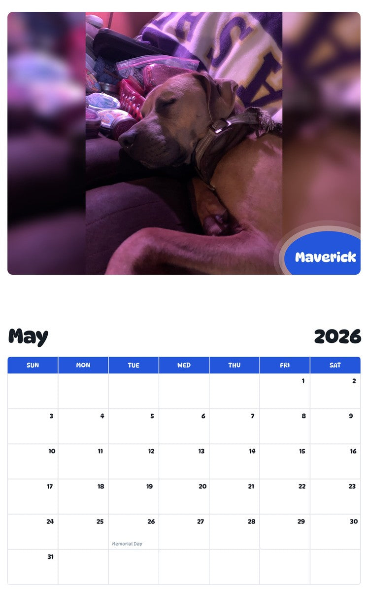 2026 - 2027 Maverick - Pawidols Pet Calendar