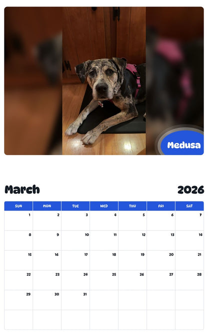 November 2025 - October 2026 Medusa - Pawidols Pet Calendar